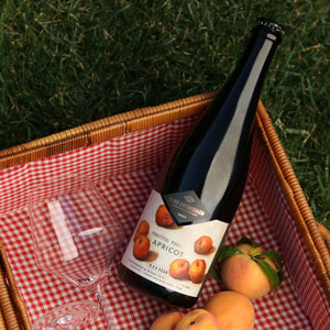 Fruitful Pursuits: Apricot 2023