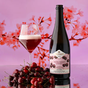 Fruitful Pursuits: Cherry 2024