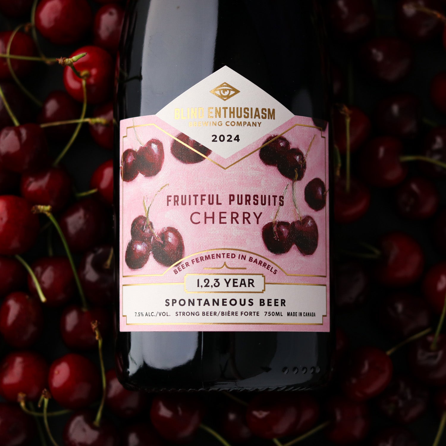 Fruitful Pursuits: Cherry 2024