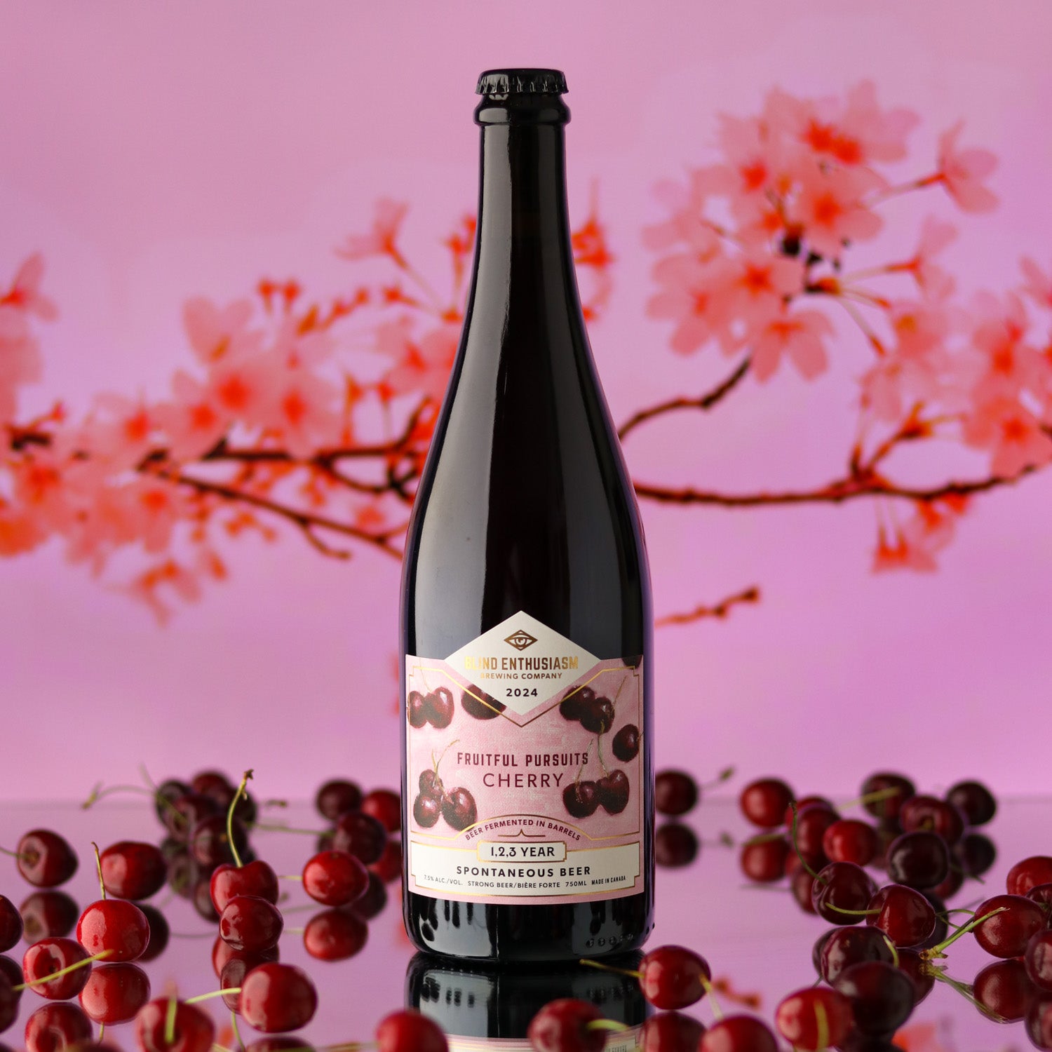 Fruitful Pursuits: Cherry 2024