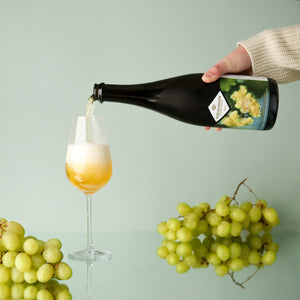 Fruitful Pursuits: Riesling 2022