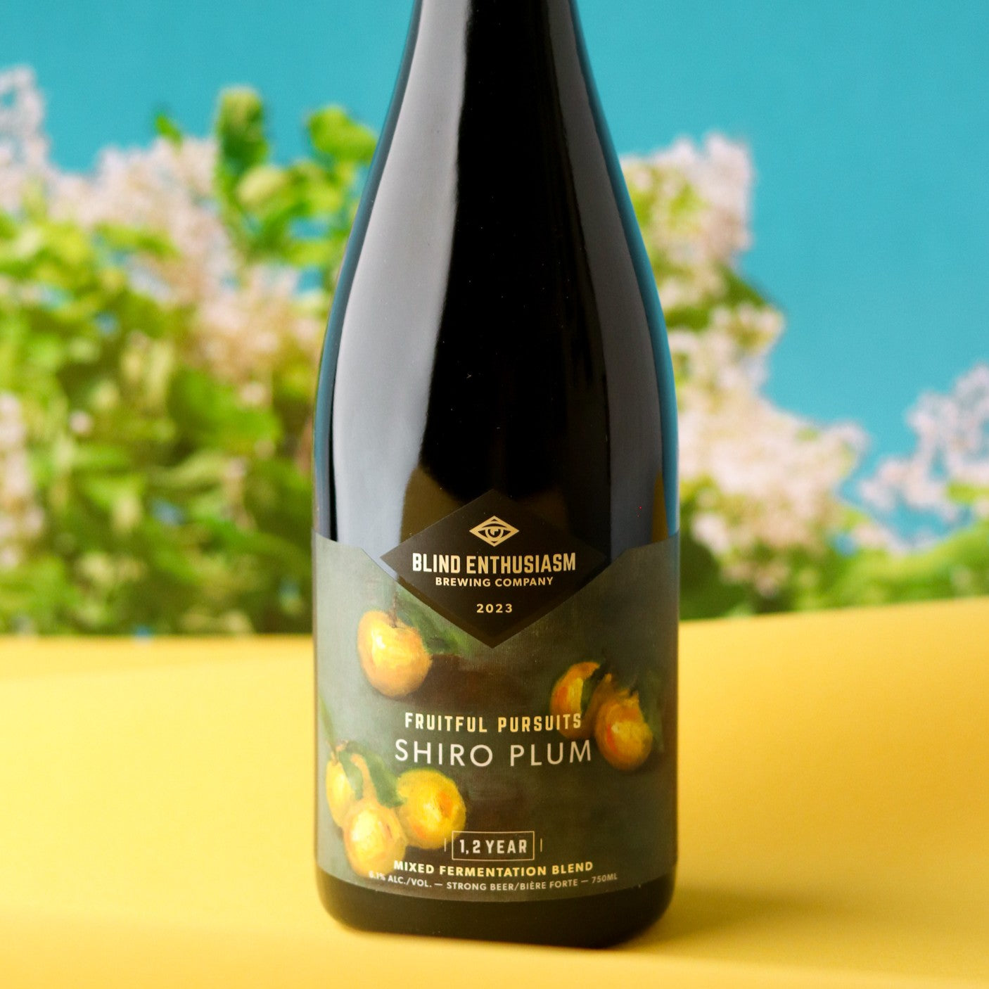 Fruitful Pursuits: Shiro Plum 2023