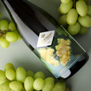 Fruitful Pursuits: Riesling 2022